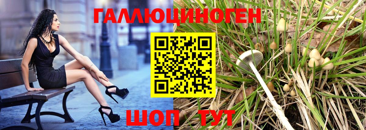 Сочи  Галлюциногенные грибы Psilocybe  Вход с VPN 